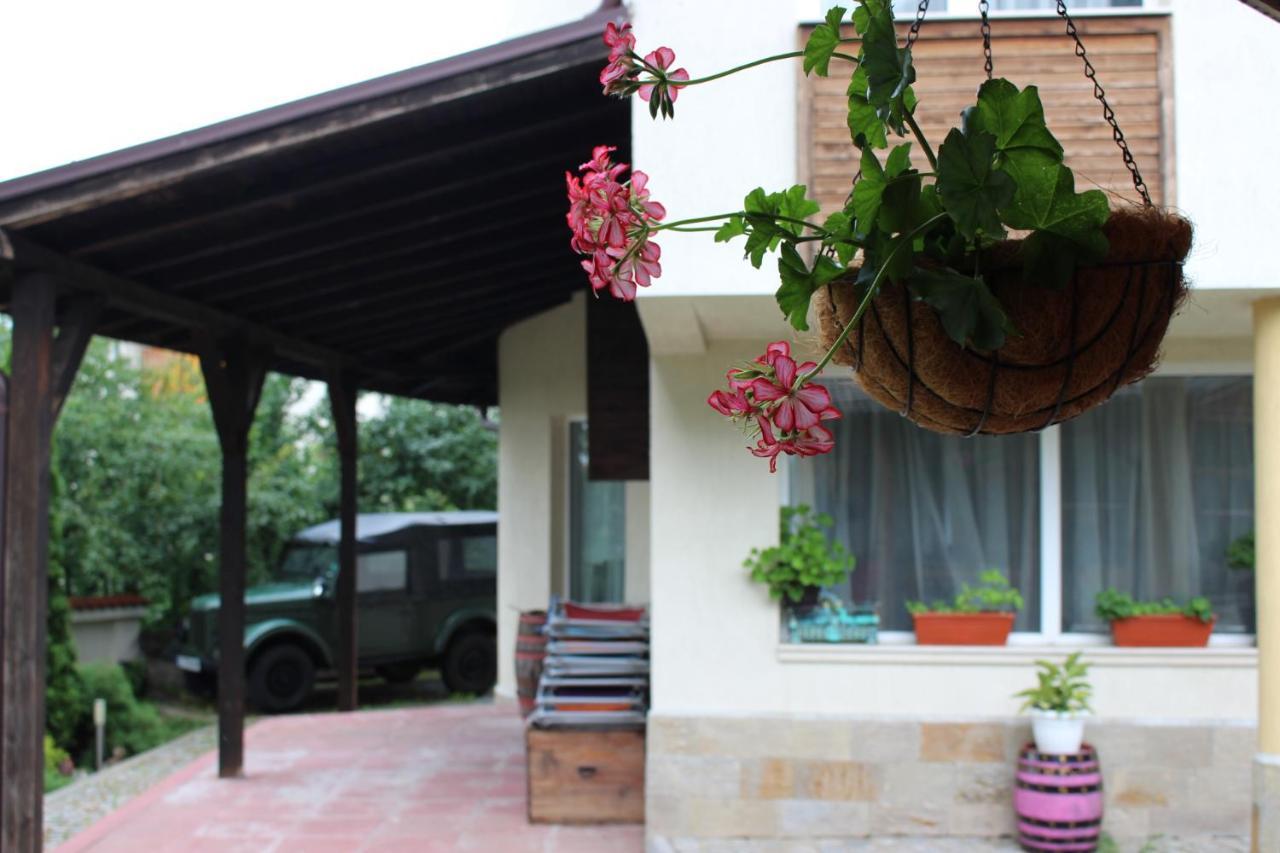 Hotel Radi Sapareva Banya Εξωτερικό φωτογραφία