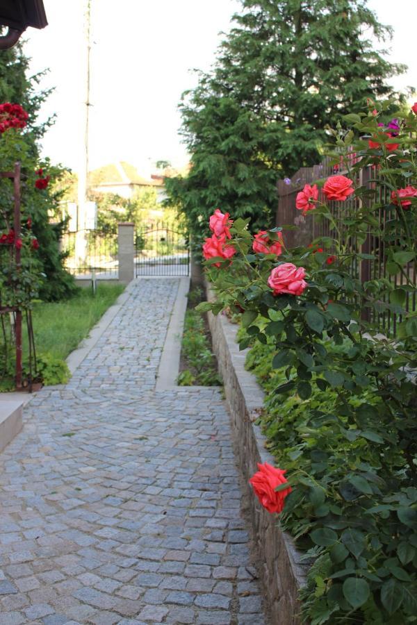 Hotel Radi Sapareva Banya Εξωτερικό φωτογραφία