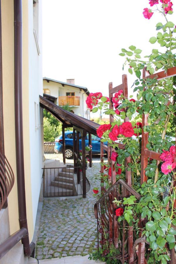 Hotel Radi Sapareva Banya Εξωτερικό φωτογραφία