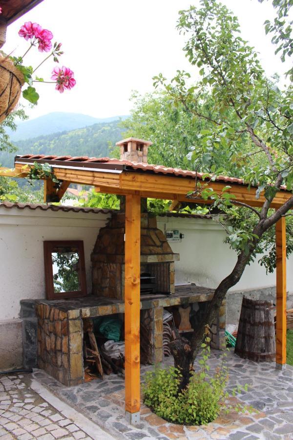 Hotel Radi Sapareva Banya Εξωτερικό φωτογραφία